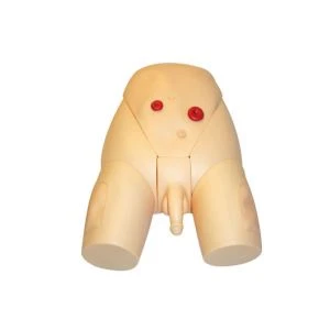 Uretral kateteriseringsträning Manikin